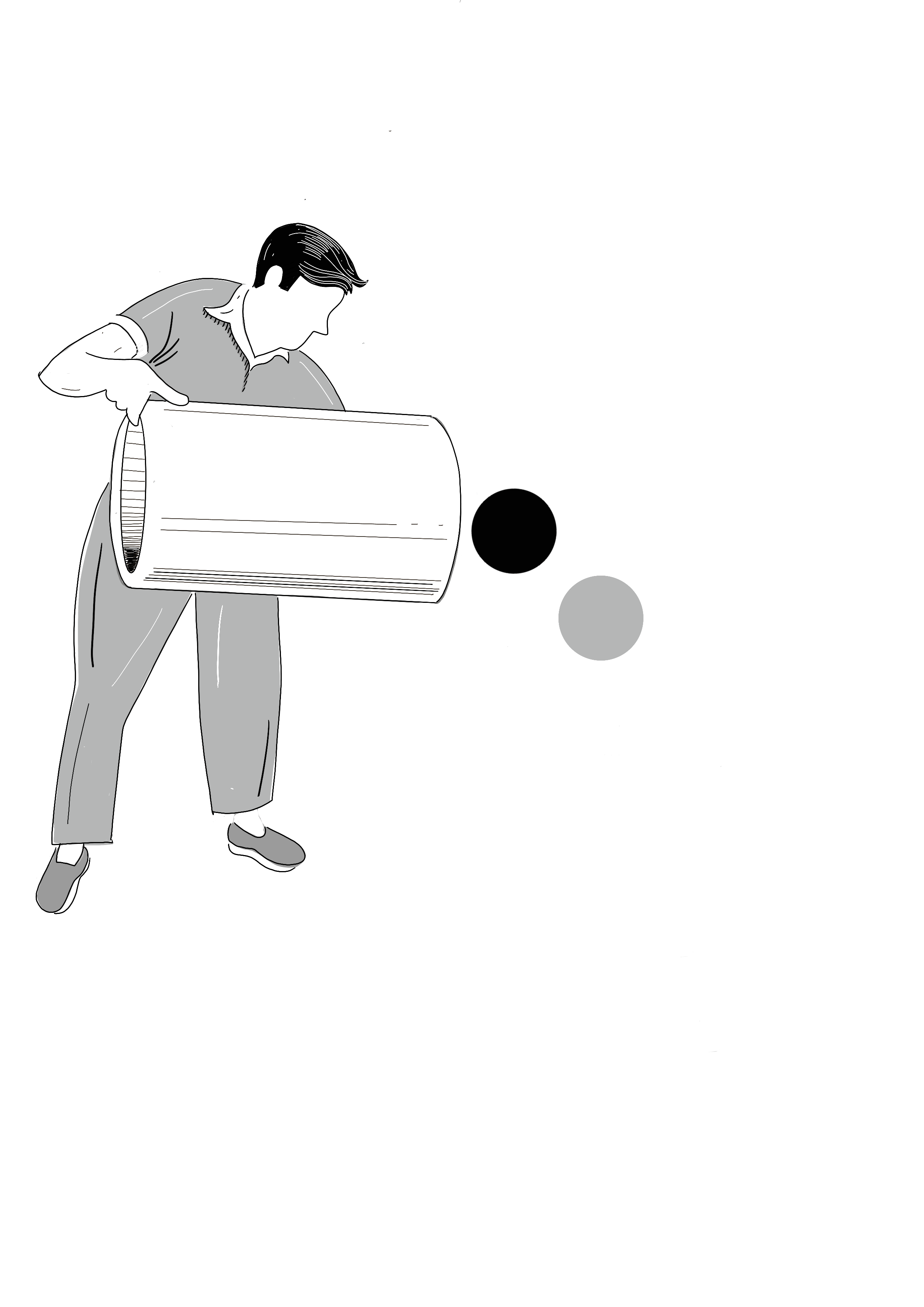 Treballerflip
